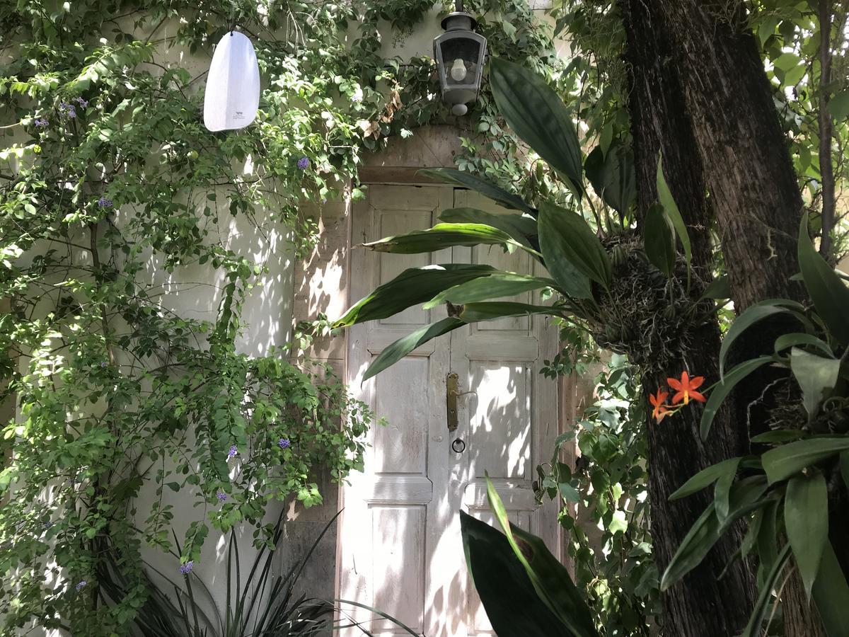Hotel Fk San Miguel de Allende Kültér fotó